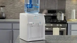 Read more about the article How to Clean Vitapur Water Dispenser? Easy Steps Guideline